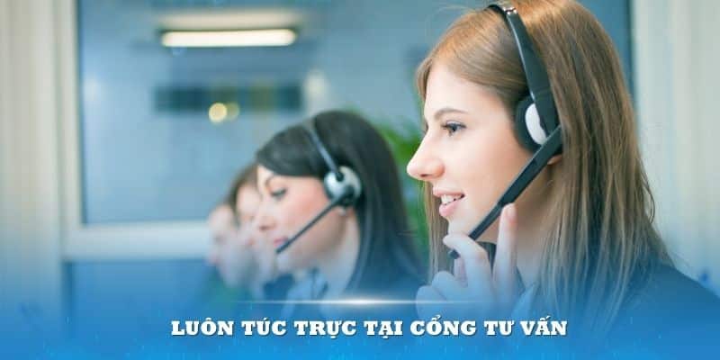 Tổ tư vấn khách hàng làm việc với tinh thần trách nhiệm cao